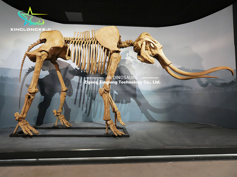 Buy Life Size Woolly Mammoth Skeleton for Sale